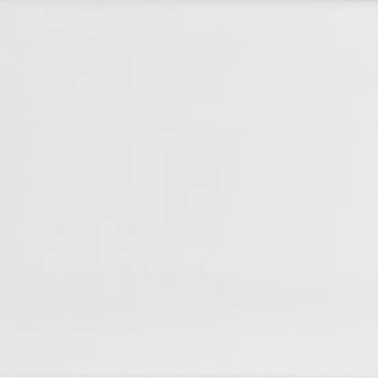 Carrelage Evolution Inmetro White Mat 7,5x15 cm - vue de face du carreau