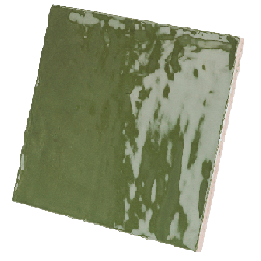 La Riviera Botanical Green 13.2x13.2 cm - carrelage NAIS