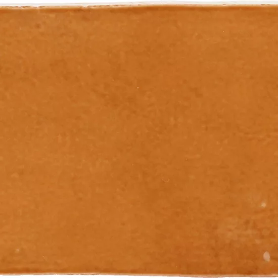 Carrelage La Riviera Ginger 6,5x20 cm - vue de face du carreau