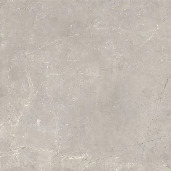 Carrelage Harmony Grey 60x60 cm - détail du carreau