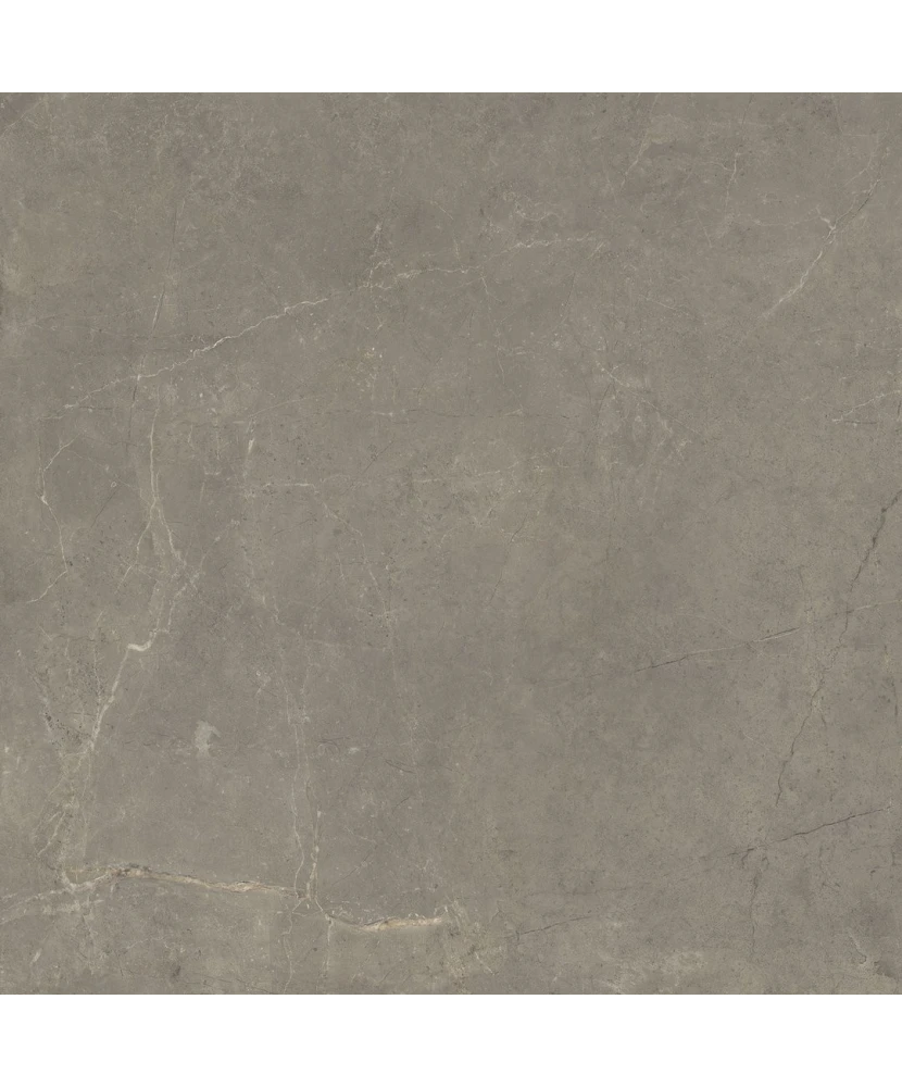 Carrelage Harmony Taupe 100x100 cm - détail du carreau