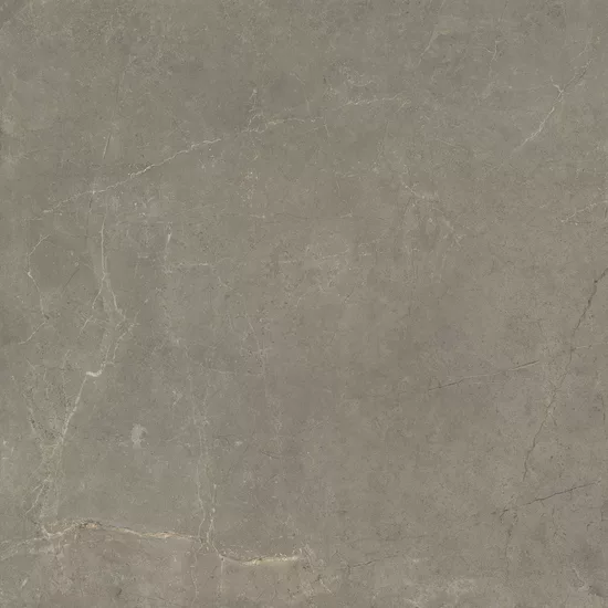 Carrelage Harmony Taupe 100x100 cm - détail du carreau