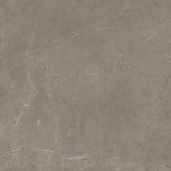 Harmony Taupe 100x100 cm - carrelage NAIS