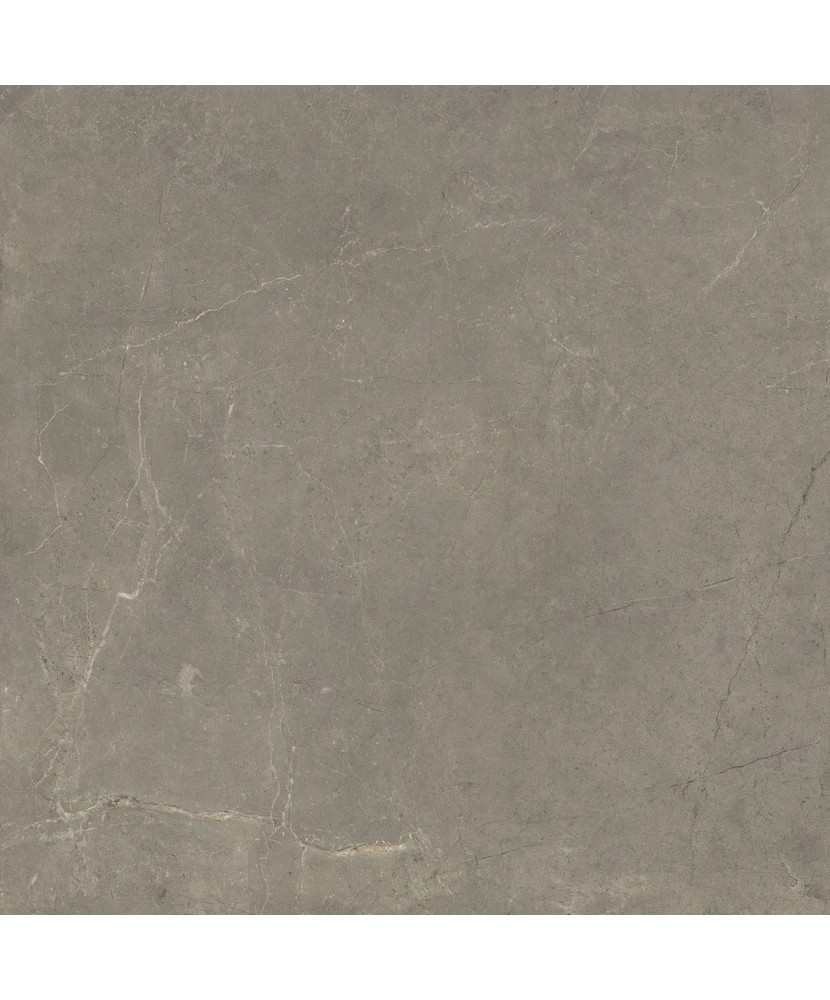 Carrelage Harmony Taupe 60x60 cm - détail du carreau