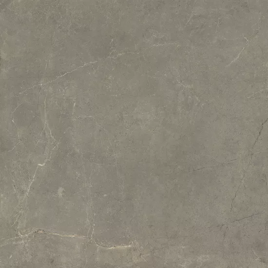 Carrelage Harmony Taupe 60x60 cm - détail du carreau