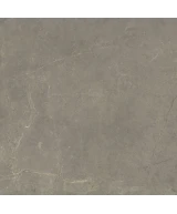 Carrelage Harmony Taupe 60x60 cm - détail du carreau
