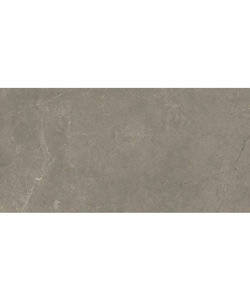 Carrelage Harmony Taupe 30x60 cm - détail du carreau
