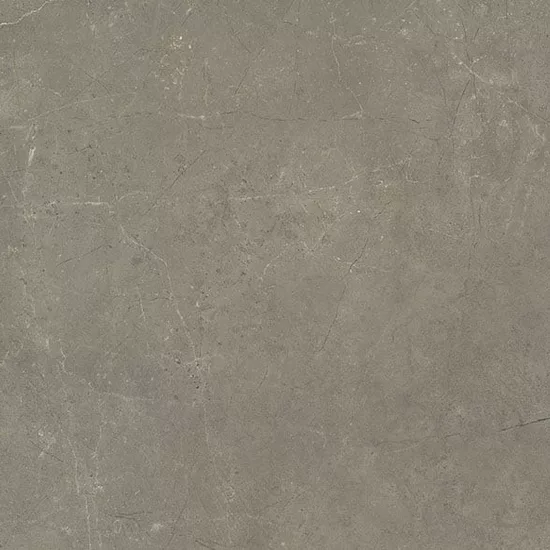 Carrelage Harmony Taupe 30x60 cm - détail du carreau