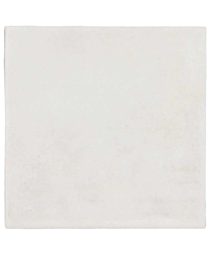 Carrelage Argile Ice 10x10 cm - vue de face du carreau