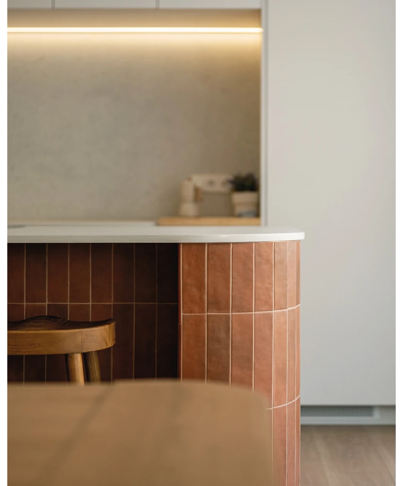 Carrelage Argile Cotto 6x24,6 cm - vue d’ambiance 2