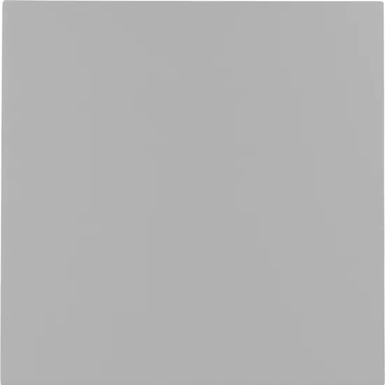 Carrelage Bauhome Grau 20x20 cm - vue de face du carreau