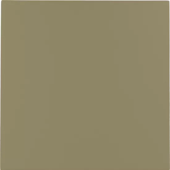 Carrelage Bauhome Grün 20x20 cm - vue de face du carreau