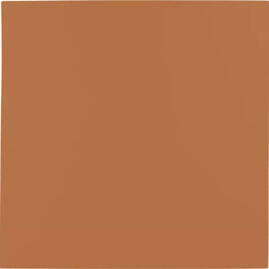 Carrelage Bauhome Terrakotta 20x20 cm - vue de face du carreau