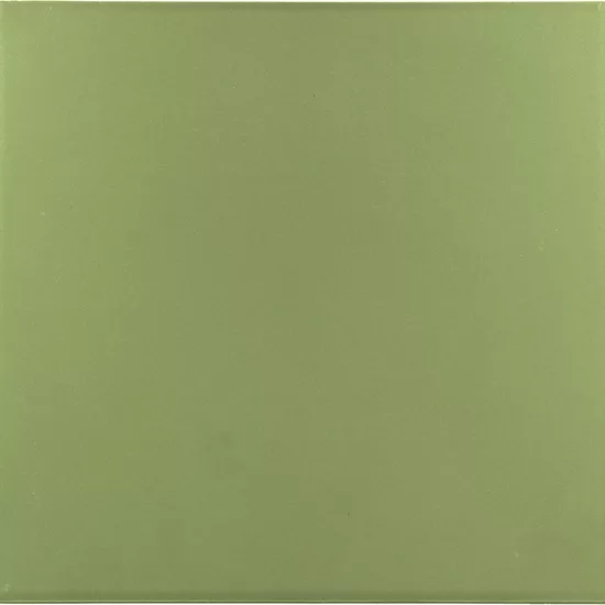 Carrelage Rivoli Green 20x20 cm - vue de face du carreau
