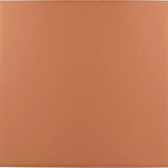 Carrelage Rivoli Terre 20x20 cm - détail du carreau 2