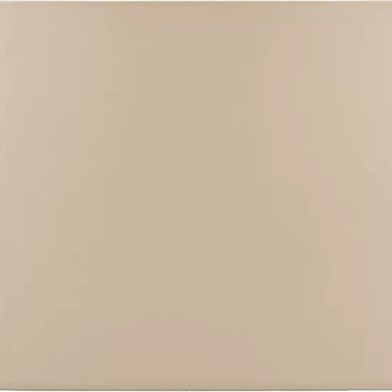 Carrelage Rivoli Beige 20x20 cm - vue de face du carreau