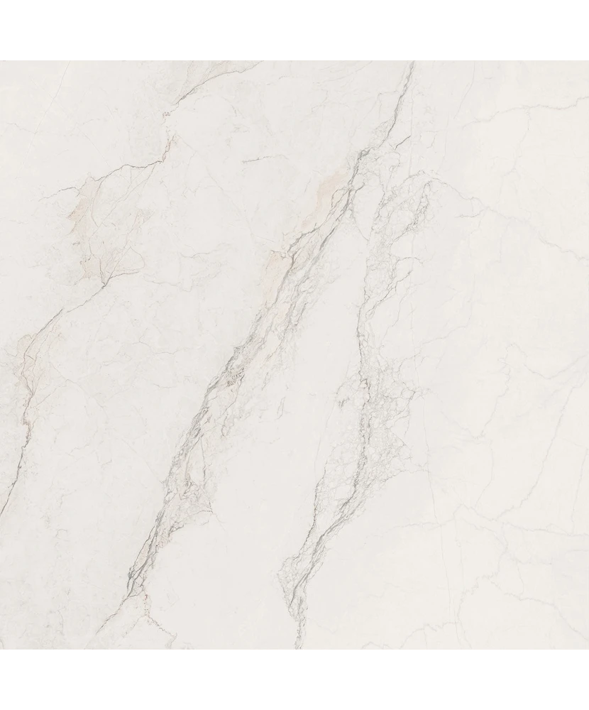Carrelage 60x60 Bolgheri Stone White Nat Rectifié - détail du carreau