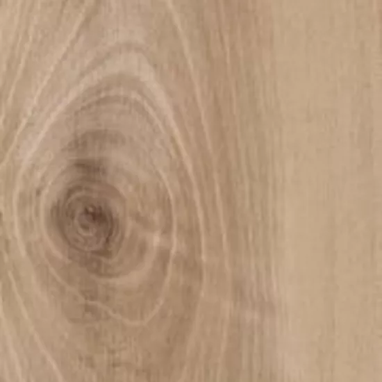 Carrelage 20x120 Honey Wood Noce Nat Rectifié R11 - détail du carreau 5