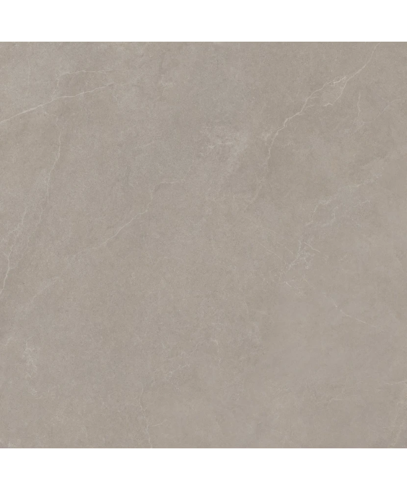 Carrelage 100x100 Noble Stone Taupe Nat Rectifié - détail du carreau