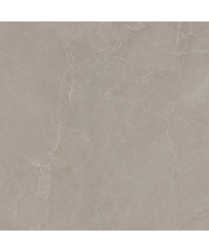 Carrelage 100x100 Noble Stone Taupe Nat Rectifié - détail du carreau 2