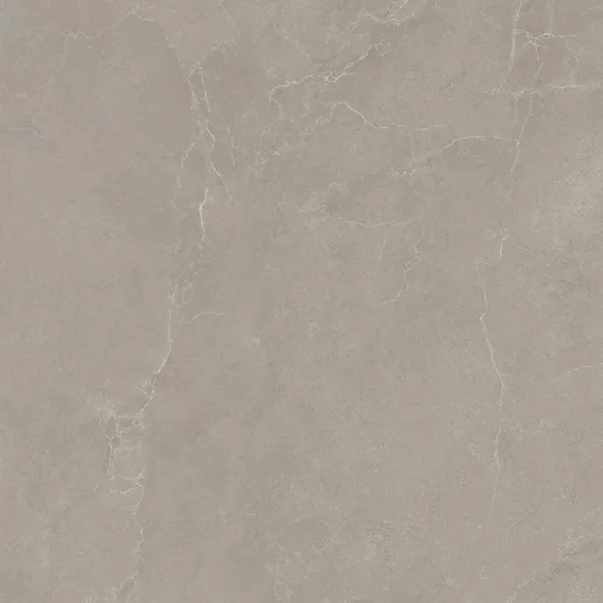 Carrelage 100x100 Noble Stone Taupe Nat Rectifié - détail du carreau 2