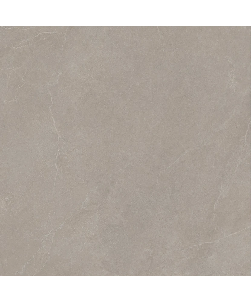Carrelage 100x100 Noble Stone Taupe Nat Rectifié - détail du carreau 3