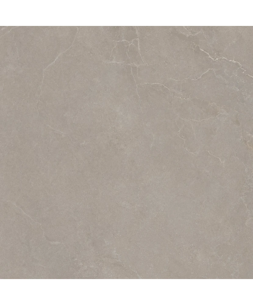 Carrelage 100x100 Noble Stone Taupe Nat Rectifié - détail du carreau 4