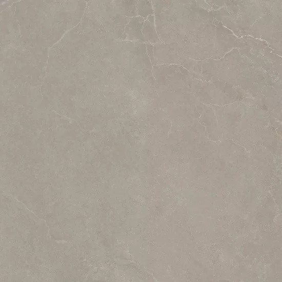 Carrelage 100x100 Noble Stone Taupe Nat Rectifié - détail du carreau 4