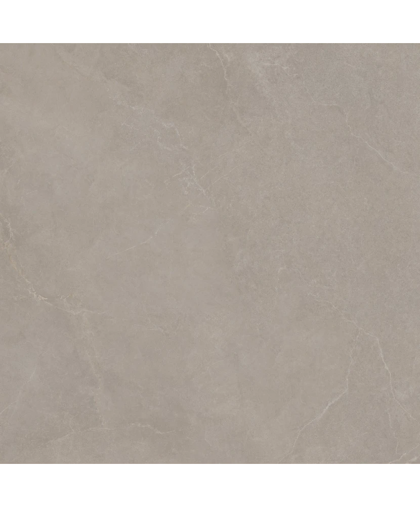 Carrelage 100x100 Noble Stone Taupe Nat Rectifié - détail du carreau 5