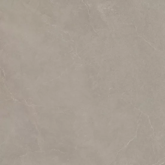 Carrelage 100x100 Noble Stone Taupe Nat Rectifié - détail du carreau 5