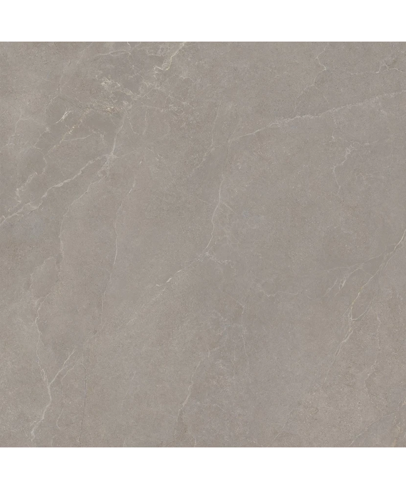 Carrelage 120x120 Noble Stone Taupe Nat Rectifié - détail du carreau