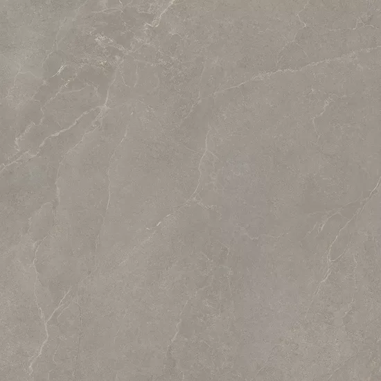 Carrelage 120x120 Noble Stone Taupe Nat Rectifié - détail du carreau