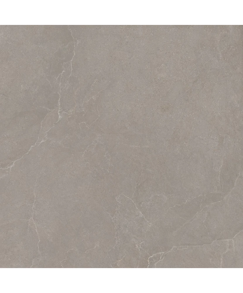 Carrelage 120x120 Noble Stone Taupe Nat Rectifié - détail du carreau 2