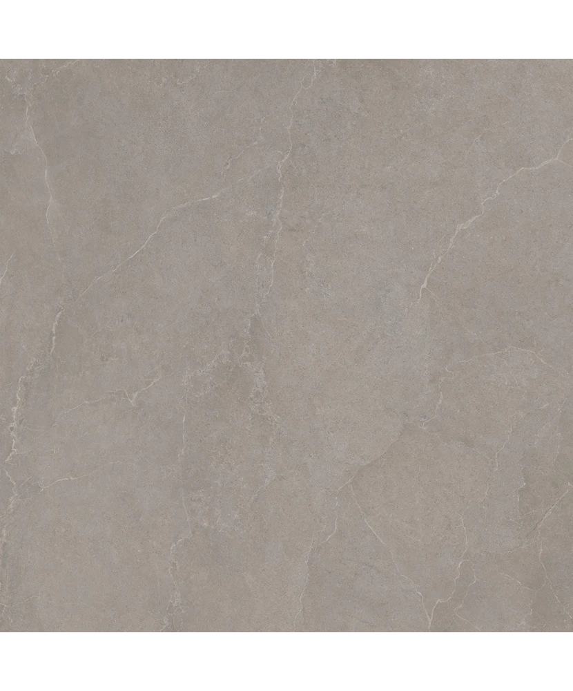 Carrelage 120x120 Noble Stone Taupe Nat Rectifié - détail du carreau 3