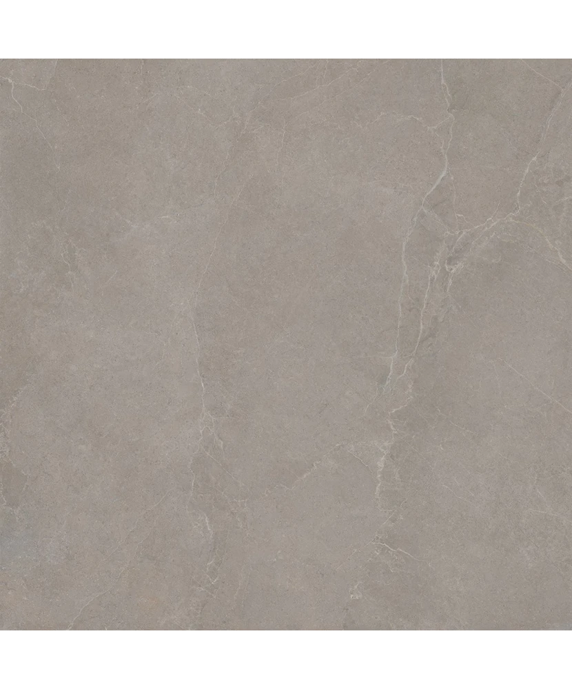 Carrelage 120x120 Noble Stone Taupe Nat Rectifié - détail du carreau 4