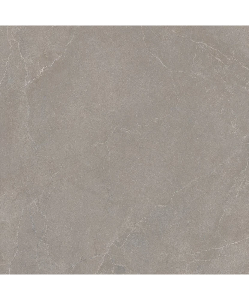 Carrelage 120x120 Noble Stone Taupe Nat Rectifié - détail du carreau 5