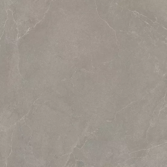 Carrelage 120x120 Noble Stone Taupe Nat Rectifié - détail du carreau 5