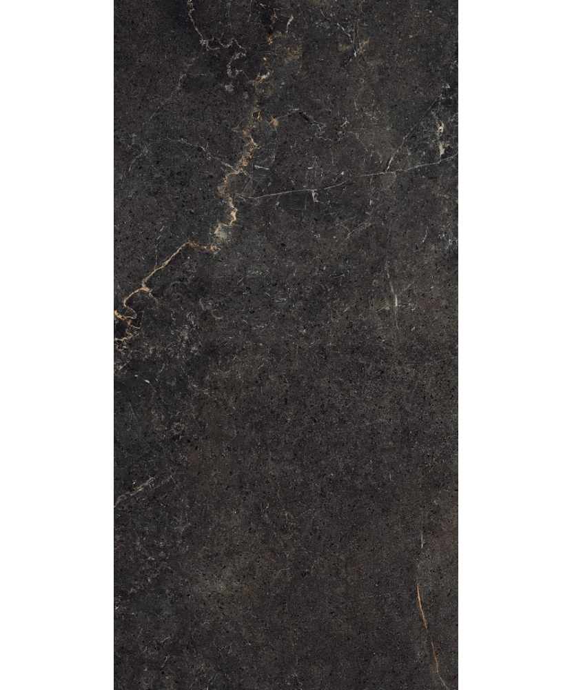 Carrelage 30x60 Noble Stone Dark Nat Rectifié - détail du carreau