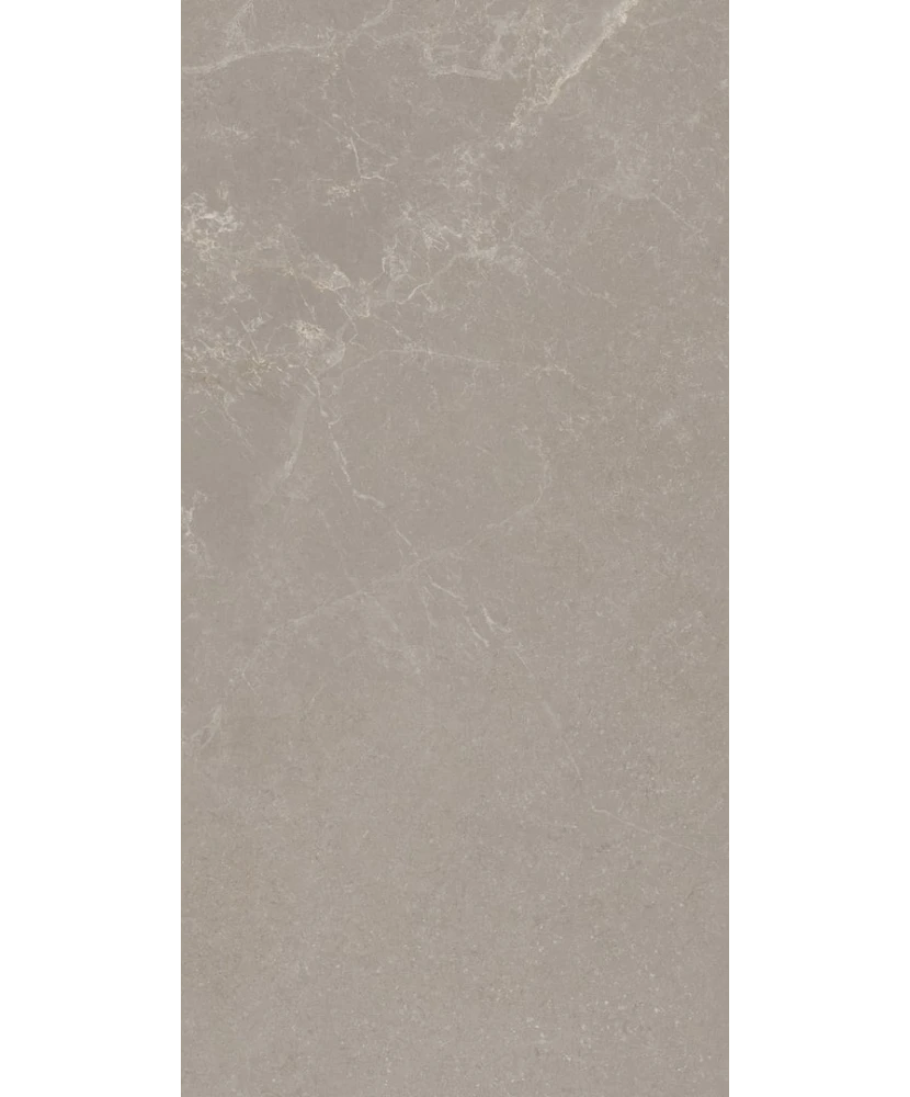 Carrelage 30x60 Noble Stone Taupe Nat Rectifié - détail du carreau