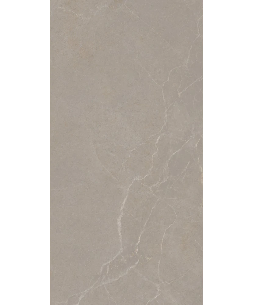Carrelage 30x60 Noble Stone Taupe Nat Rectifié - détail du carreau 2