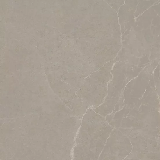Carrelage 30x60 Noble Stone Taupe Nat Rectifié - détail du carreau 2
