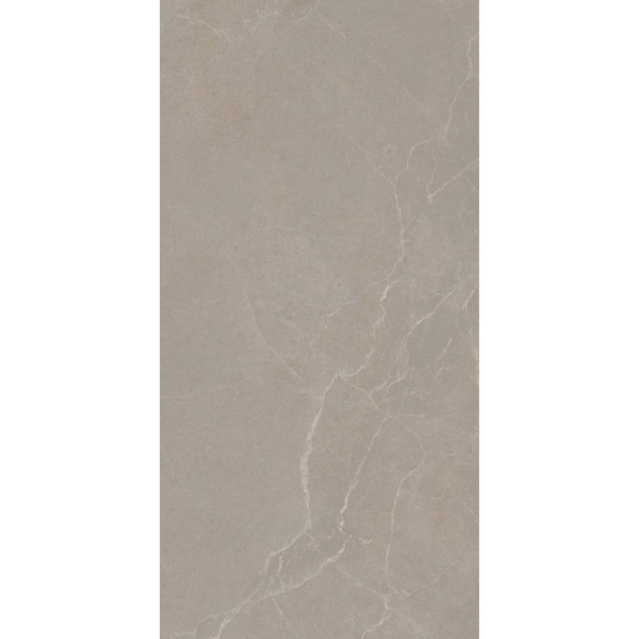30x60 NOBLE STONE TAUPE NAT RET - carrelage NAIS - image 2