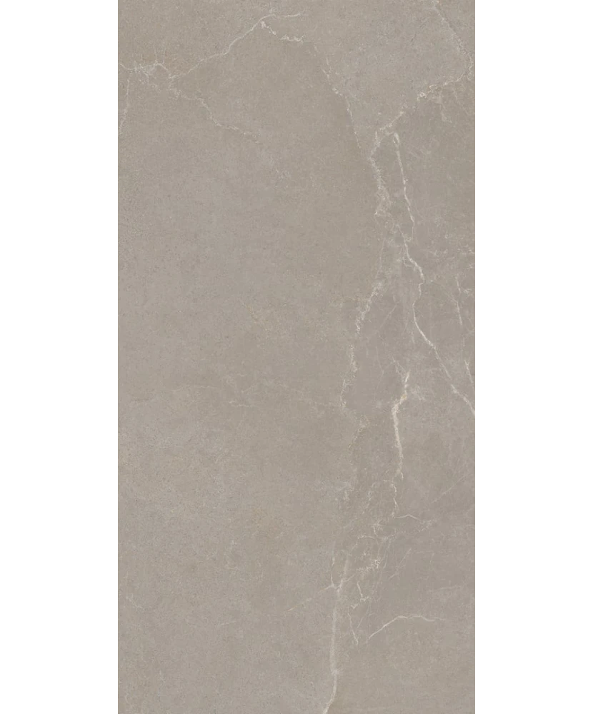Carrelage 30x60 Noble Stone Taupe Nat Rectifié - détail du carreau 3