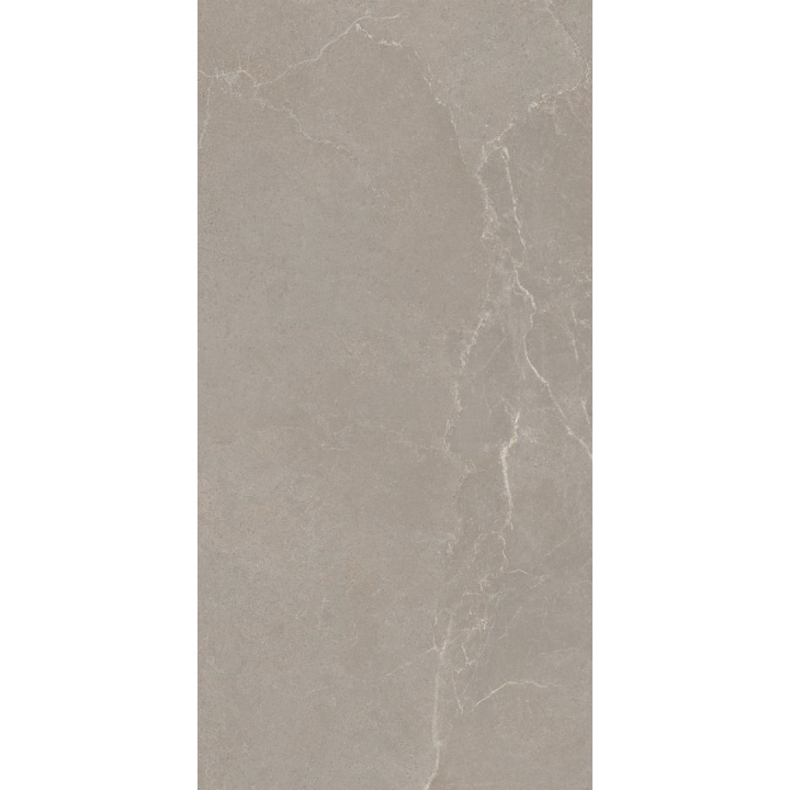 30x60 NOBLE STONE TAUPE NAT RET - carrelage NAIS - image 3