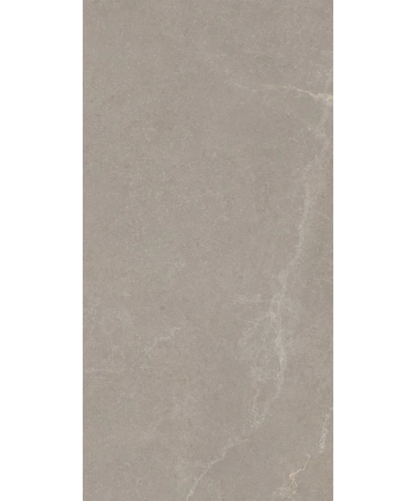 Carrelage 30x60 Noble Stone Taupe Nat Rectifié - détail du carreau 4