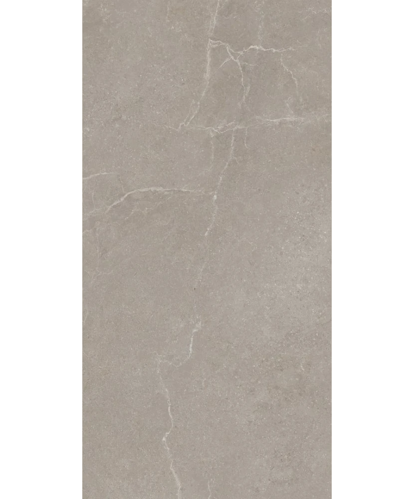 Carrelage 30x60 Noble Stone Taupe Nat Rectifié - détail du carreau 5