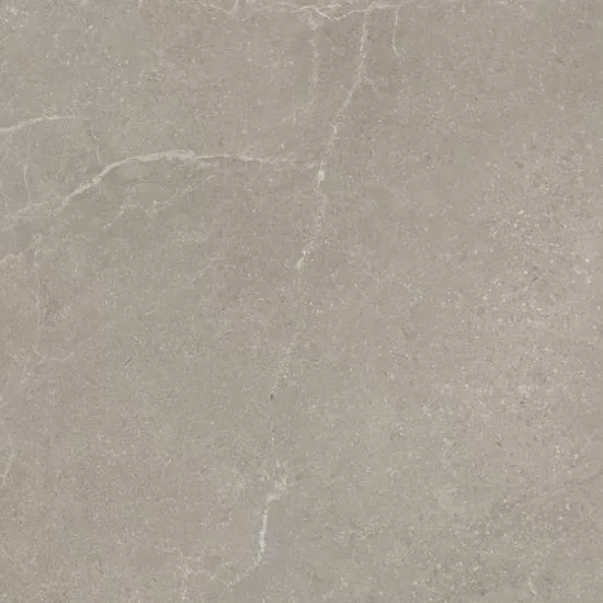 Carrelage 30x60 Noble Stone Taupe Nat Rectifié - détail du carreau 5