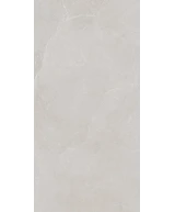 Carrelage 60x120 Noble Stone Grey Nat Rectifié R11 - détail du carreau 2
