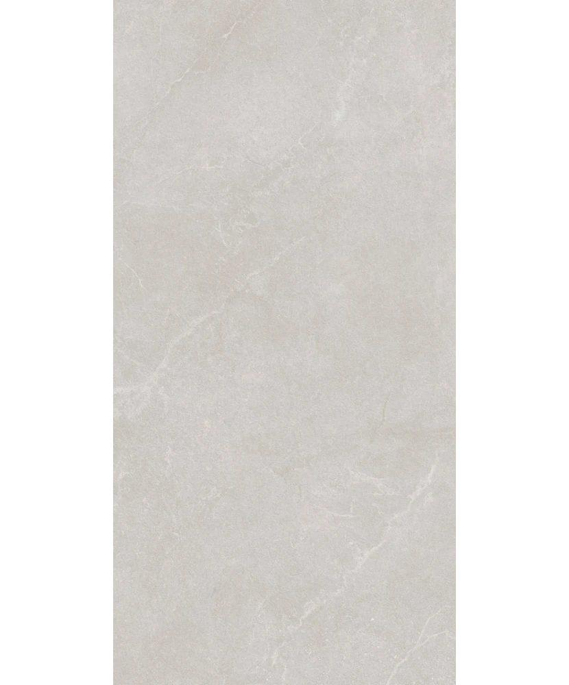 Carrelage 60x120 Noble Stone Grey Nat Rectifié R11 - détail du carreau 4