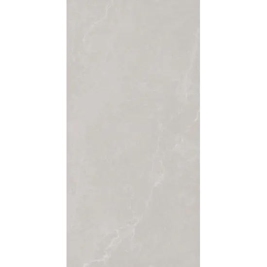 60x120 NOBLE STONE GREY 3D SATIN RET - carrelage NAIS